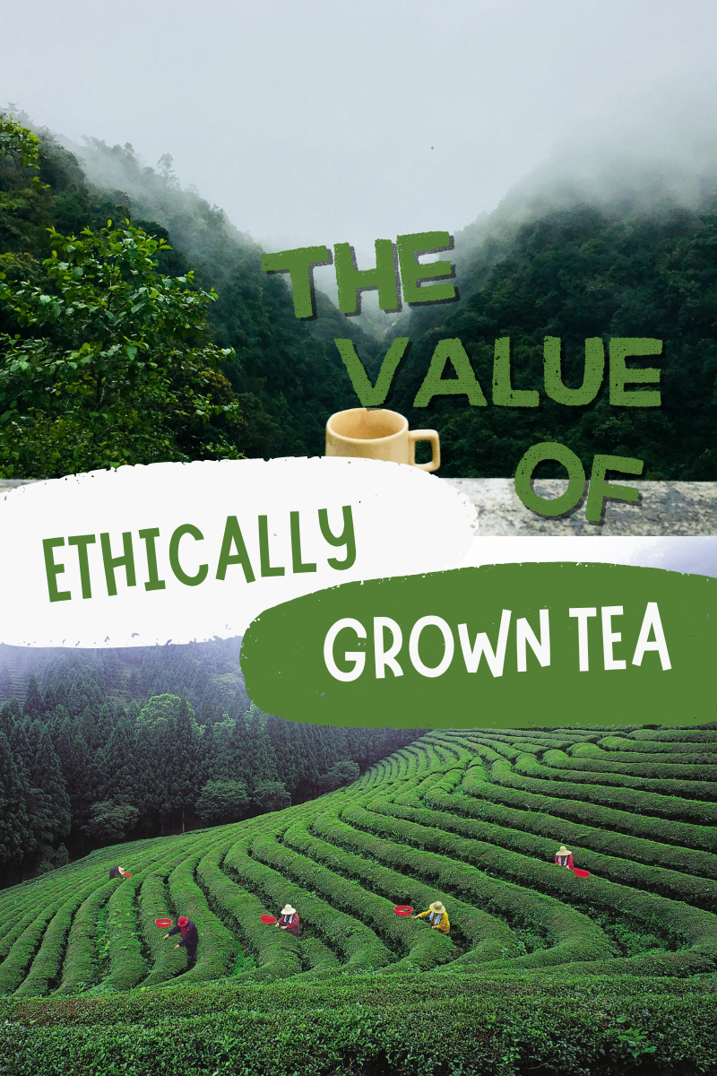 The Value of Choosing Ethically Sourced Tea